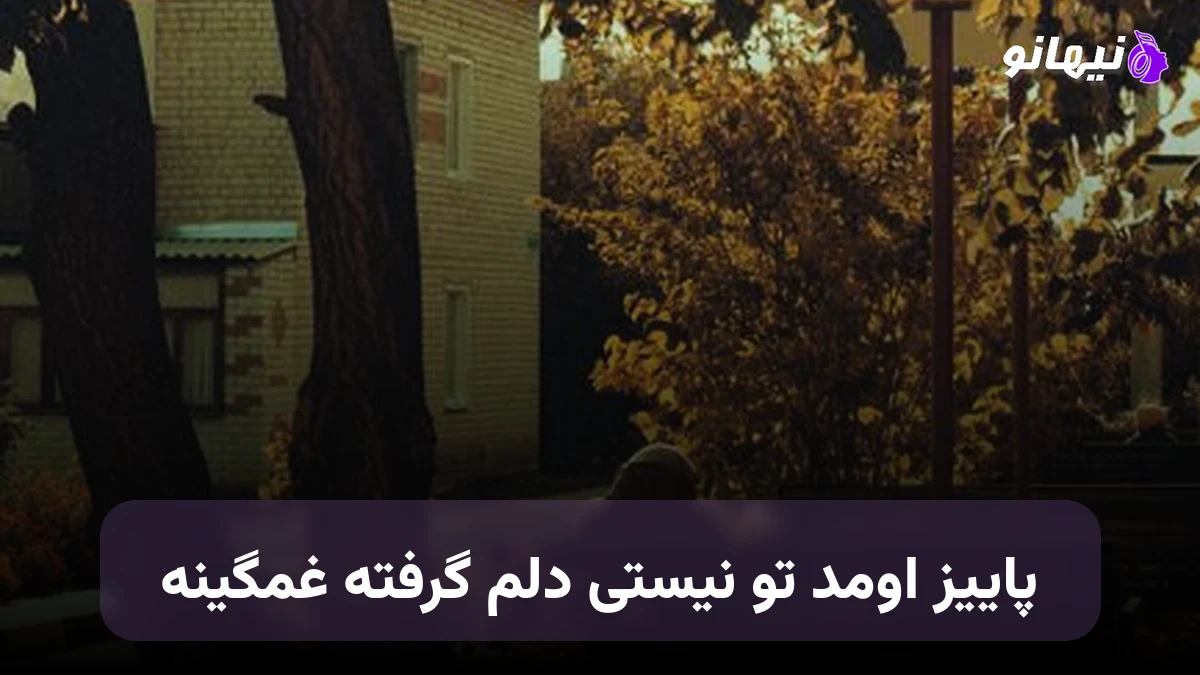 دانلود آهنگ پاییز اومد تو نیستی دلم گرفته غمگینه صدای زن